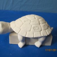 scioto 2354 lge shelf sitter turtle (FR 6)  bisqueware