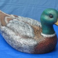 donas 552: drake (DB 20) bisqueware